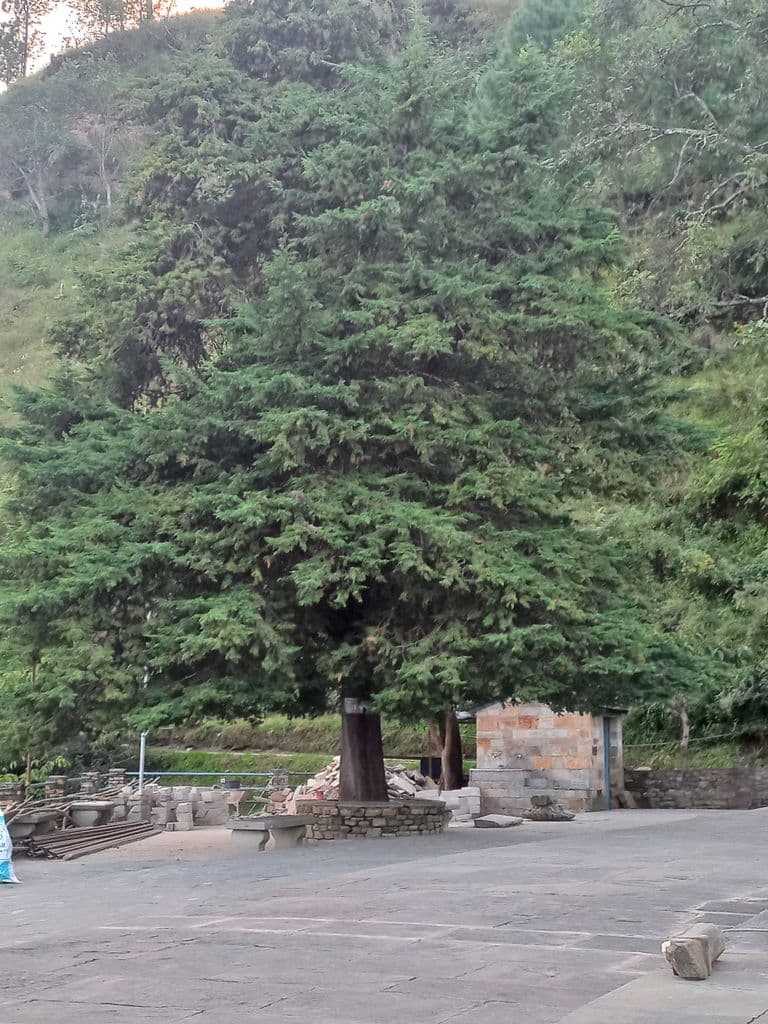 almora_katarmal_surya_mandir_20.jpg