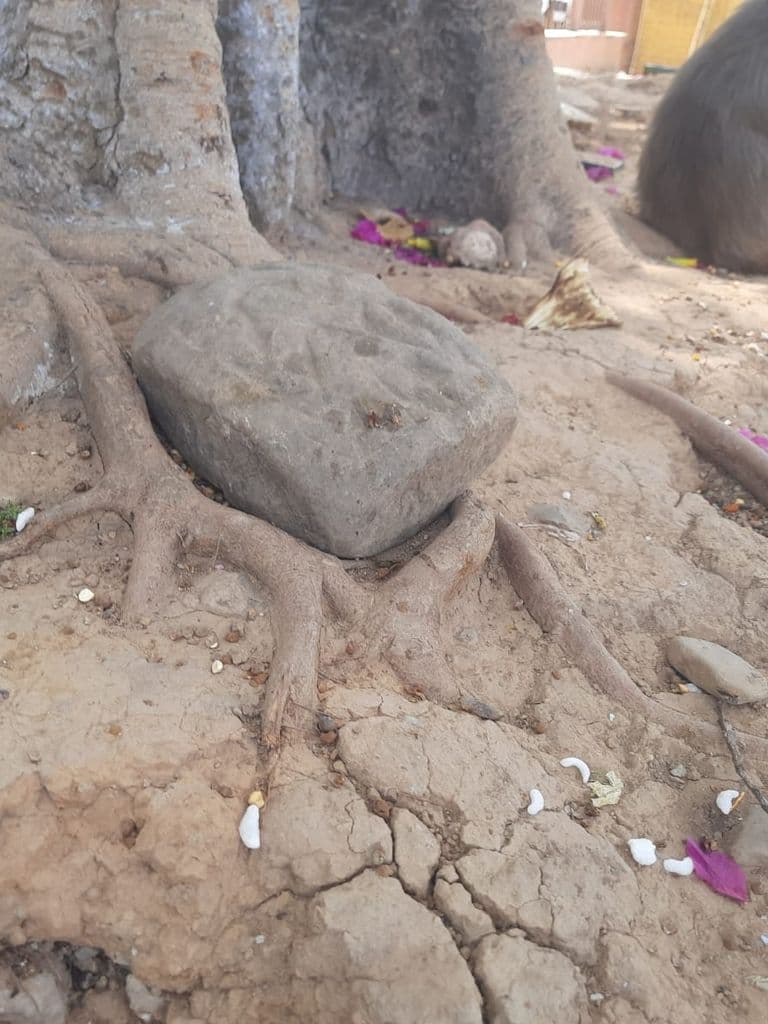 bahu_fort_kali_mandir_6.jpg