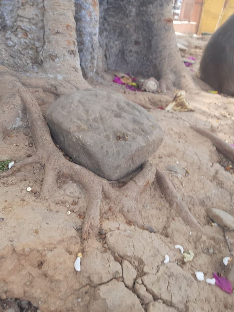 bahu_fort_kali_mandir_9.jpg