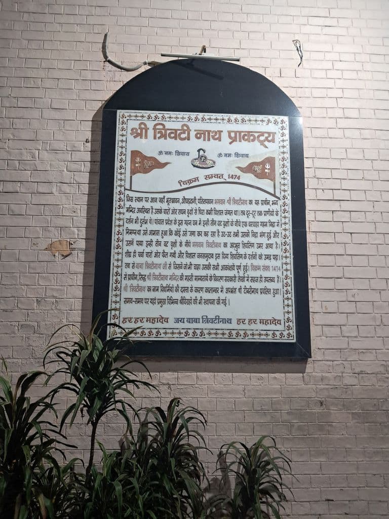 bareilly_trivati_nath_mandir_10.jpg