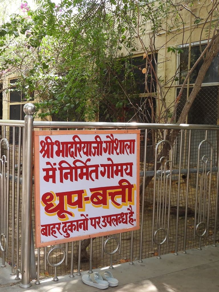 bhadriya_mata_mandir_2.jpg
