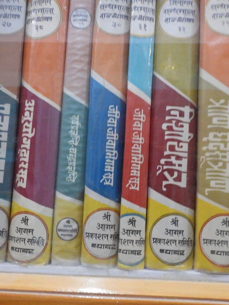 bhadriya_pustakalaya_6.jpg