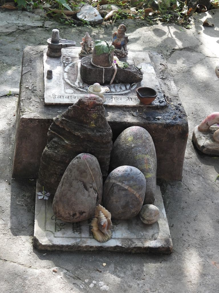 bilaspur_anjaneya_temple_4.jpg