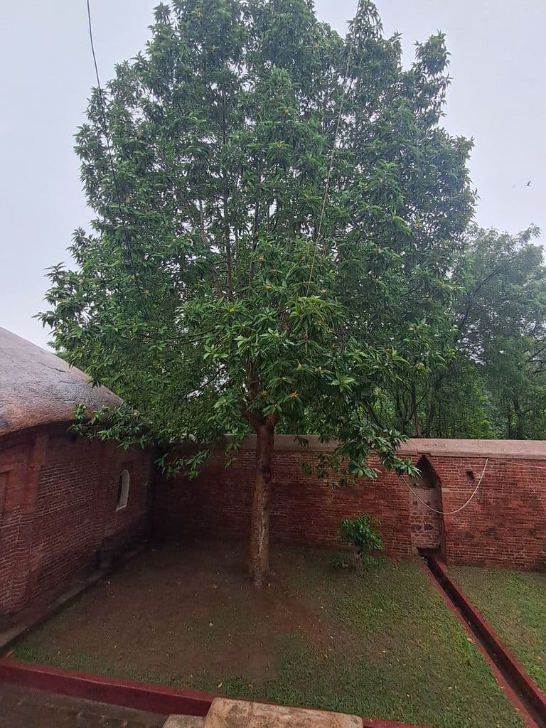 bishnupur_madan_mohan_mandir_10.jpg