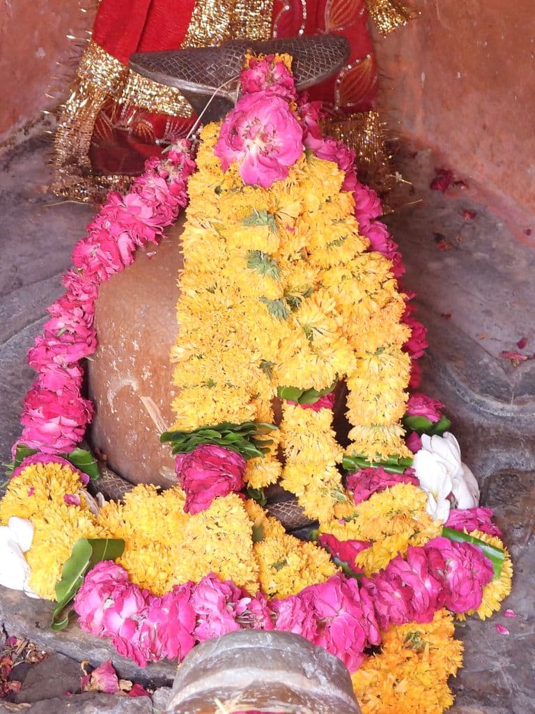 chittorgarh_baan_mataji_mandir_10.jpg