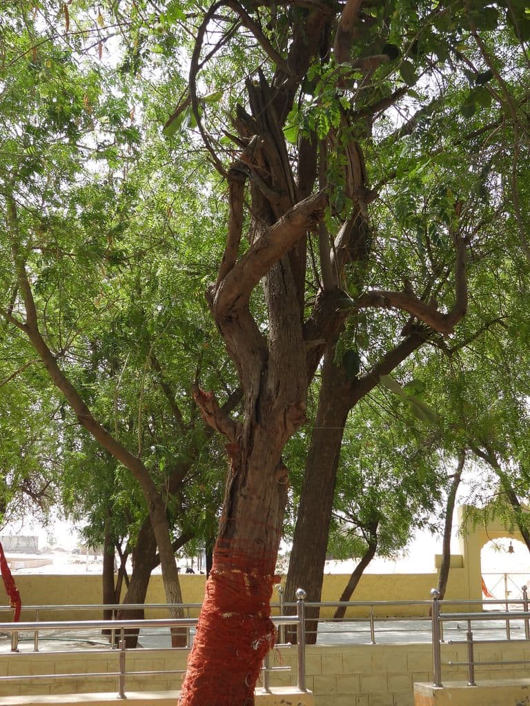 ghantiyali_mateshwar_mandir_8.jpg
