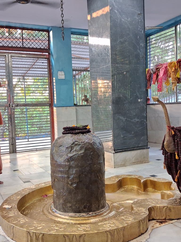 haridwar_neeleshwar_mahadev_mandir_10.jpg