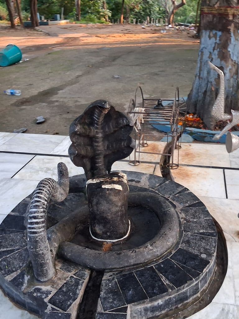 haridwar_neeleshwar_mahadev_mandir_3.jpg