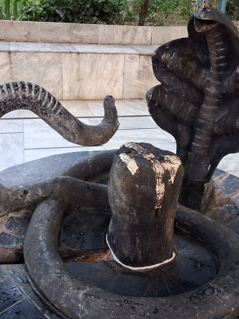 haridwar_neeleshwar_mahadev_mandir_4.jpg