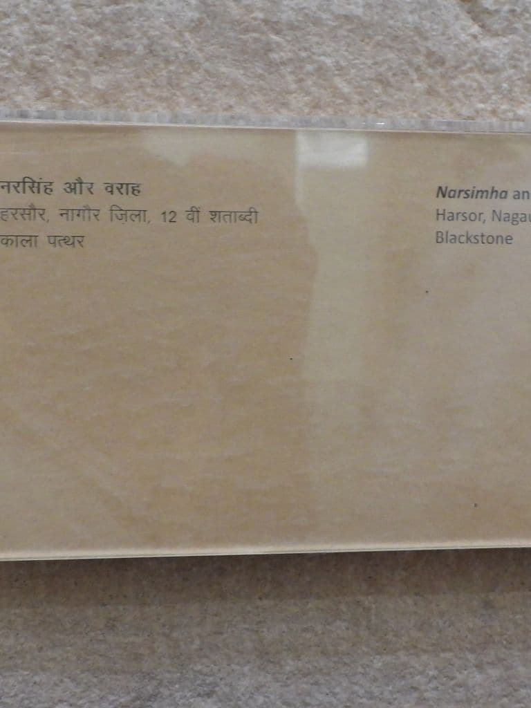 jodhpur_sardar_govt_museum_6.jpg