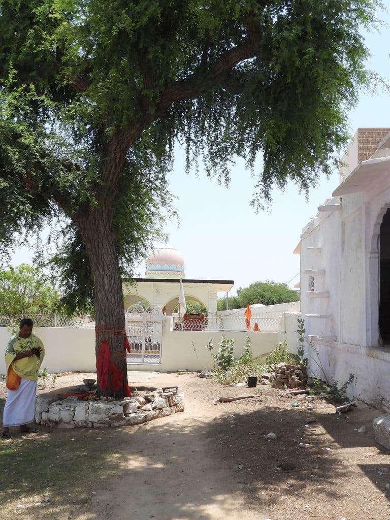 khimsar_shiva_mandir_10.jpg