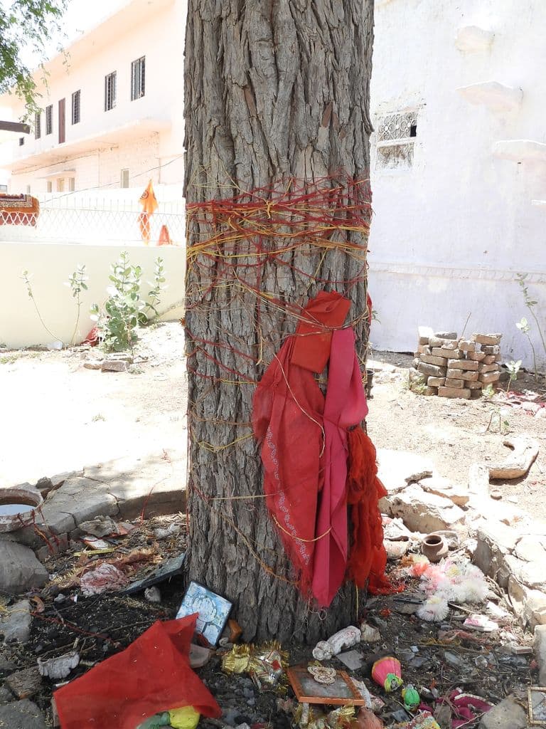 khimsar_shiva_mandir_8.jpg