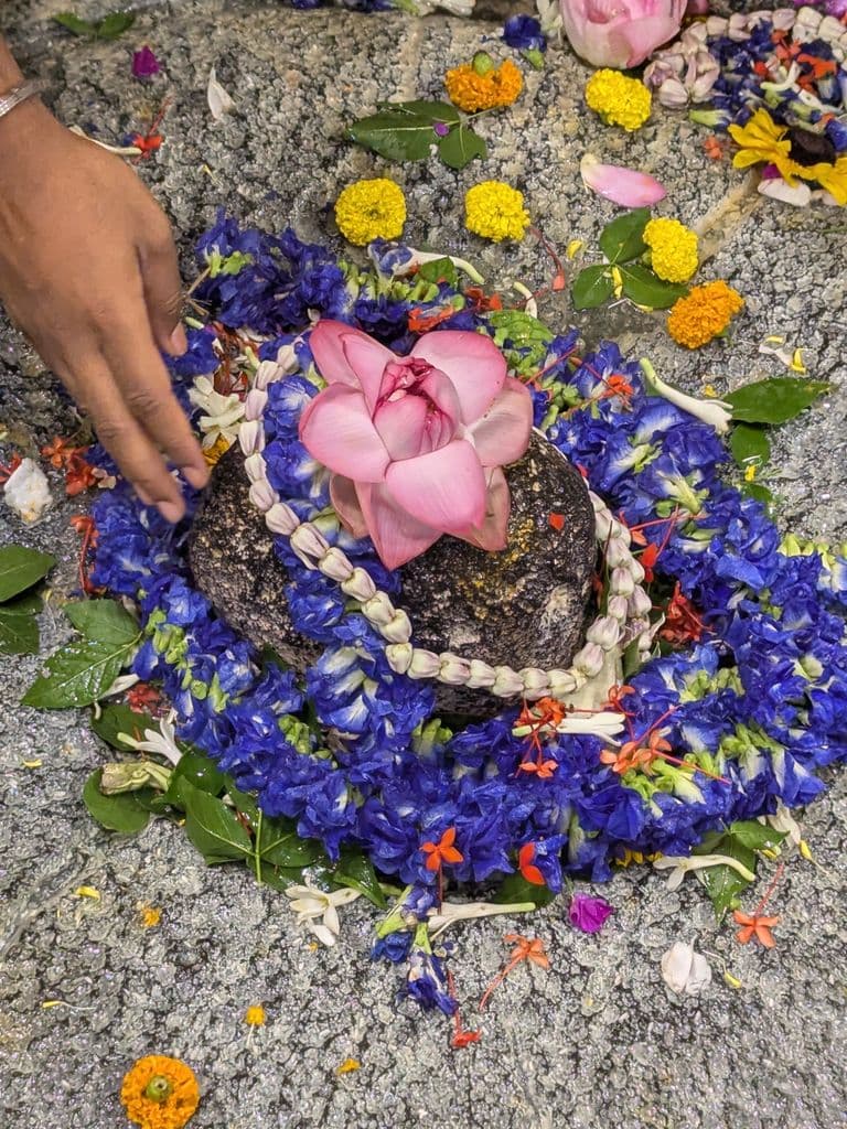 kolkata_kalighat_kali_mandir_11.jpg