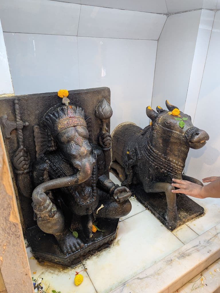 kolkata_kalighat_kali_mandir_13.jpg