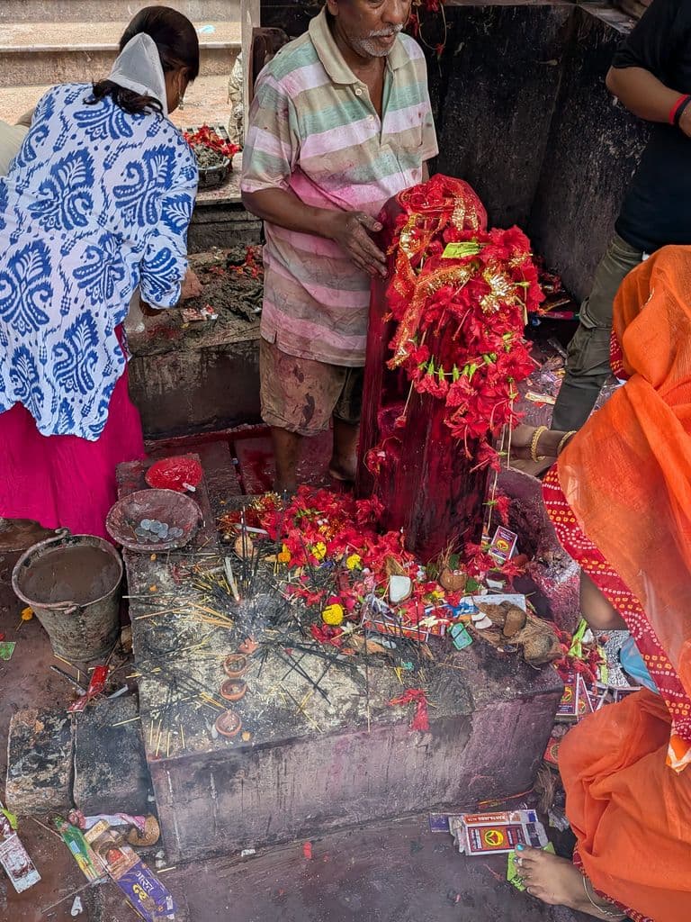 kolkata_kalighat_kali_mandir_5.jpg