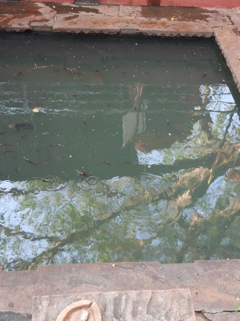 kota_chomeshwar_mahadev_mandir_10.jpg
