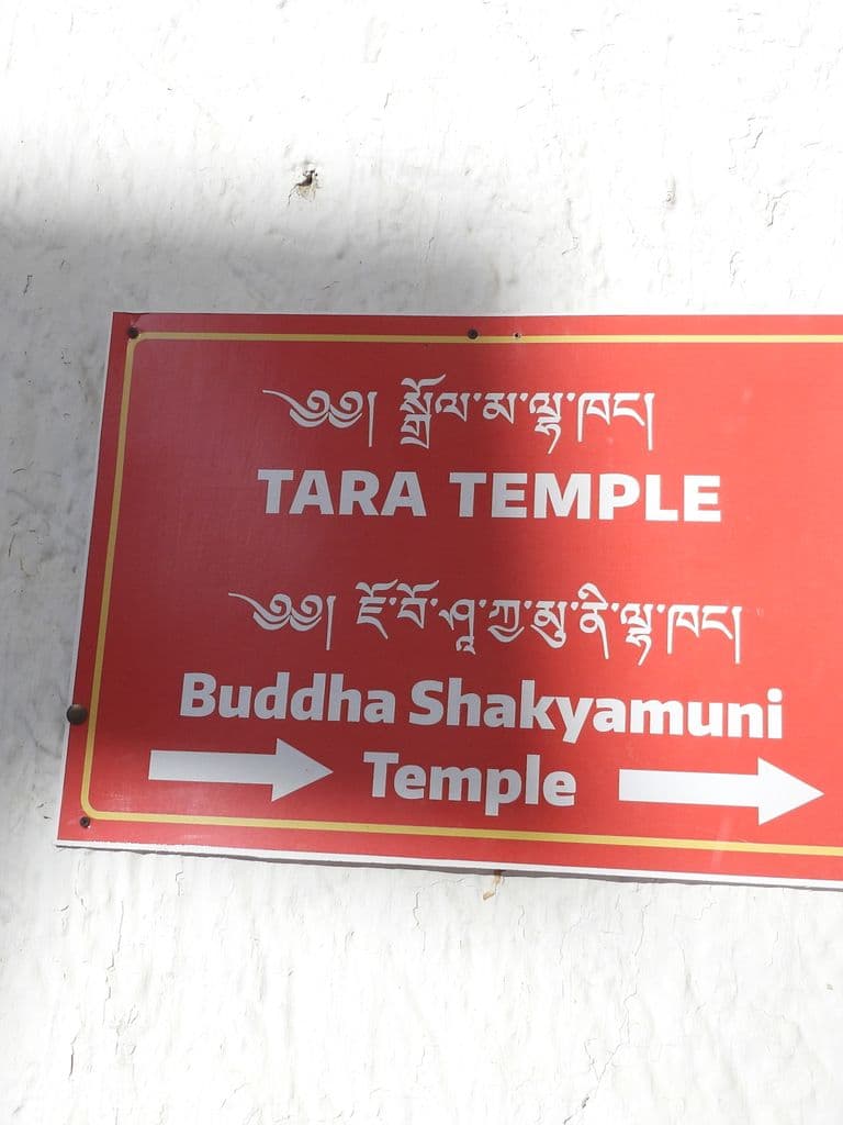 leh_spituk_gonpa_taradevi_20.jpg