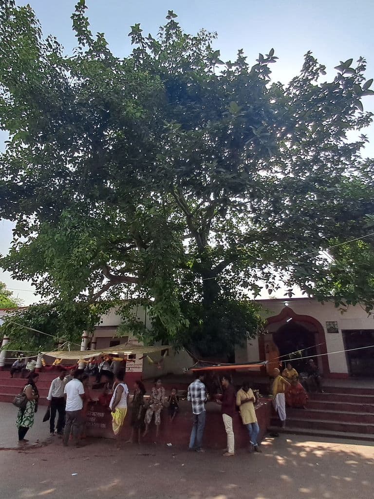 mahishmati-ugratara-mandir_7.jpg