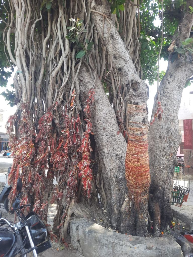 meerut_mansa_devi_mandir_5.jpg