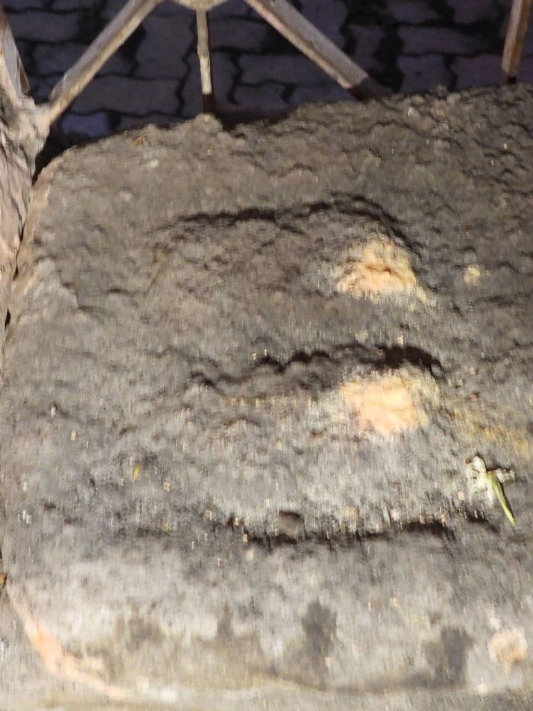 Nrusimha Mandir - Paithan