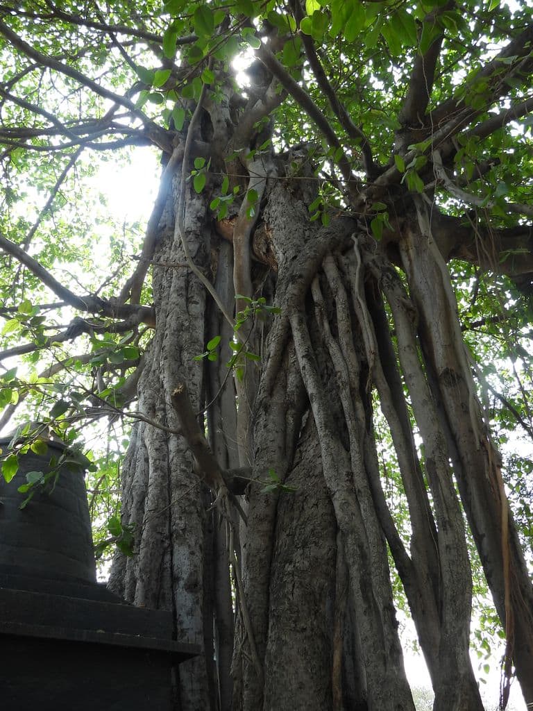 Shri Laxmanji Sheshnag Mandir