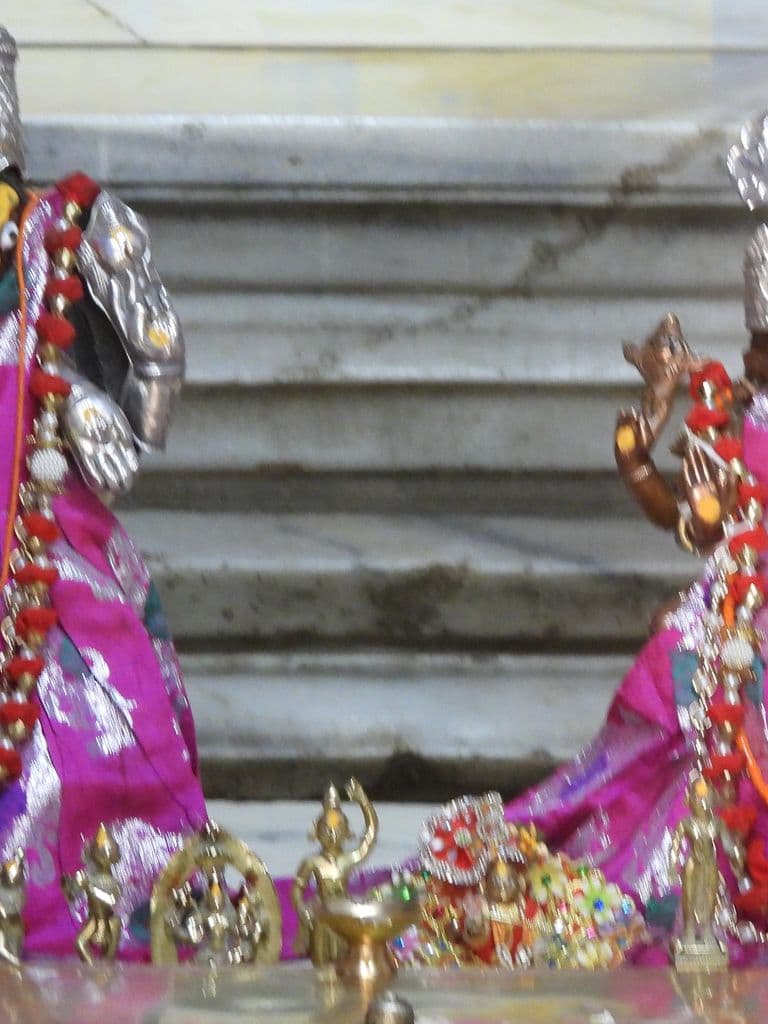 pushkar_prachin_varaha_mandir_5.jpg