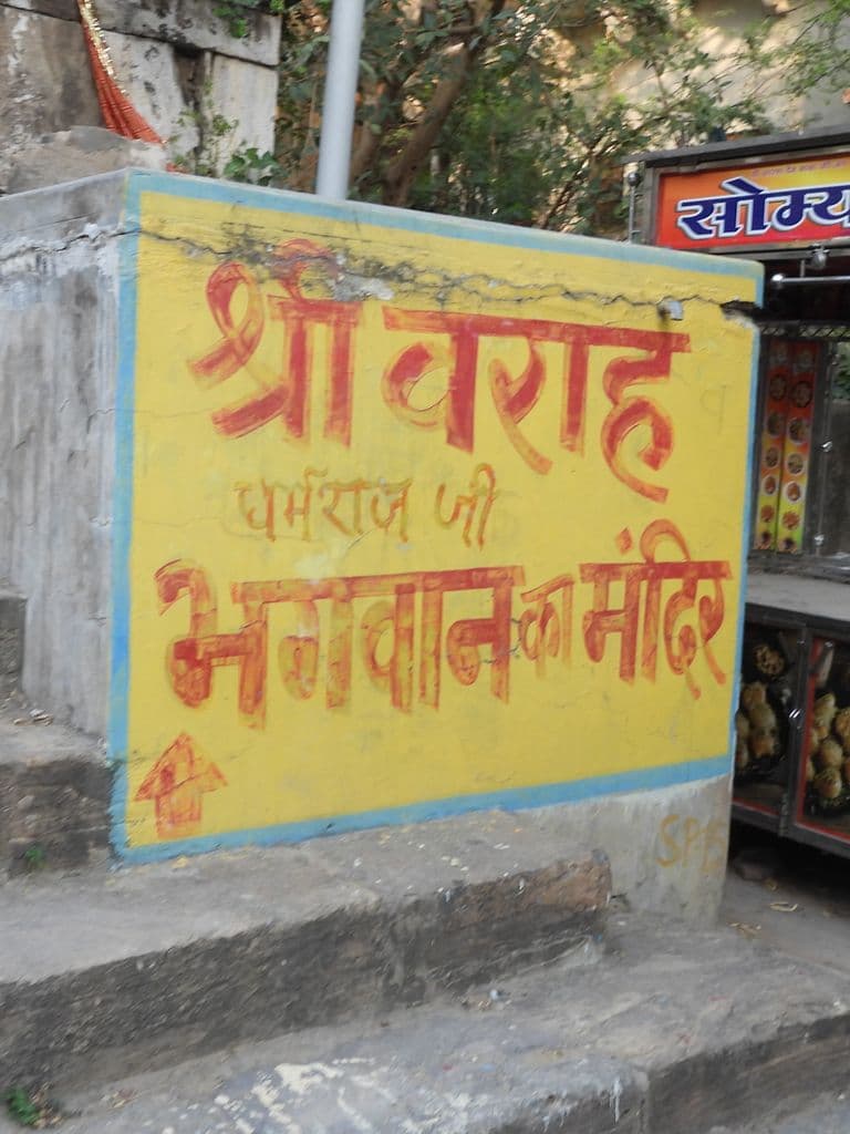 pushkar_prachin_varaha_mandir_6.jpg