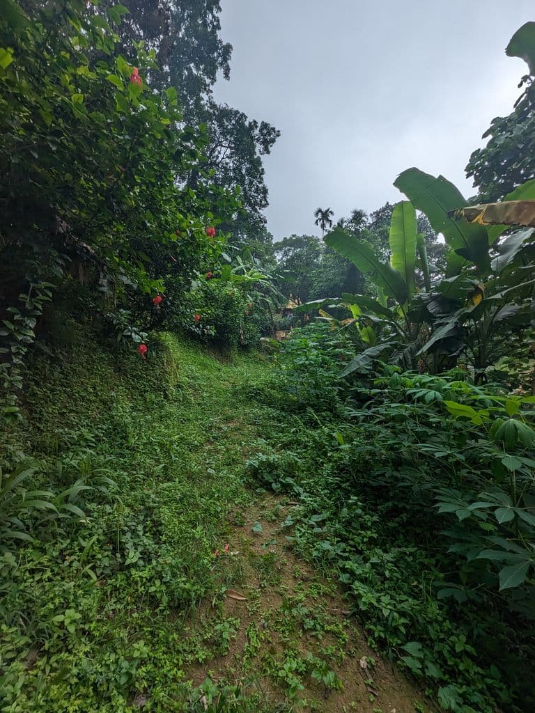 robipur_bhuban_baba_mandir_35.jpg