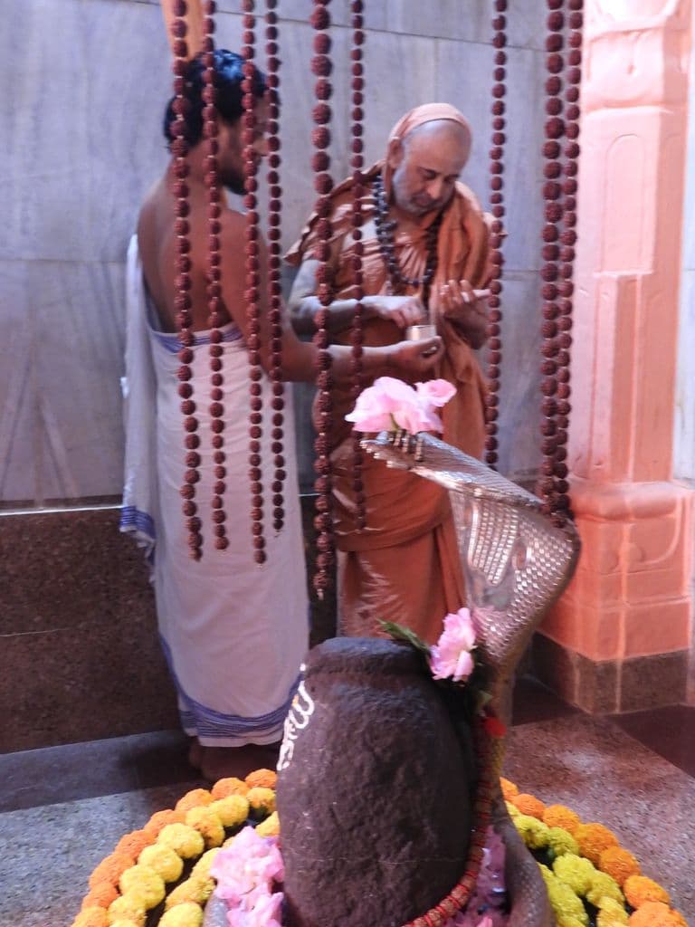 Nageshwara Mahadev Mandir - Saputara
