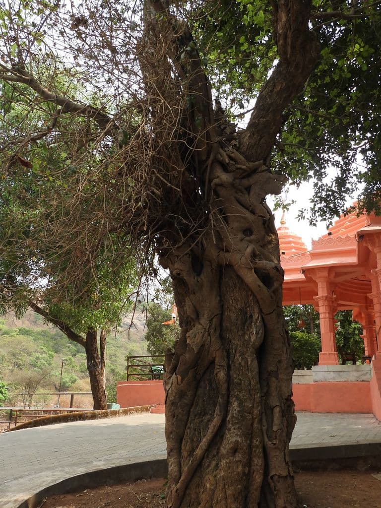 Nageshwara Mahadev Mandir - Saputara