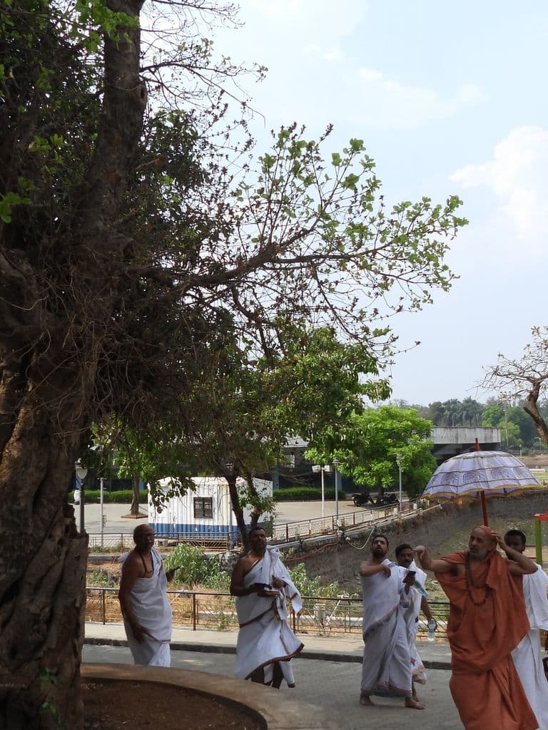 Nageshwara Mahadev Mandir - Saputara