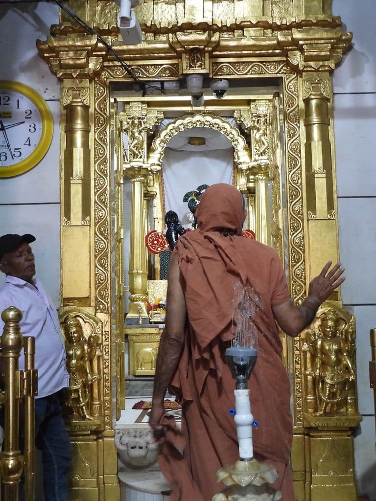 shamalaji_vishnu_mandir_6.jpg