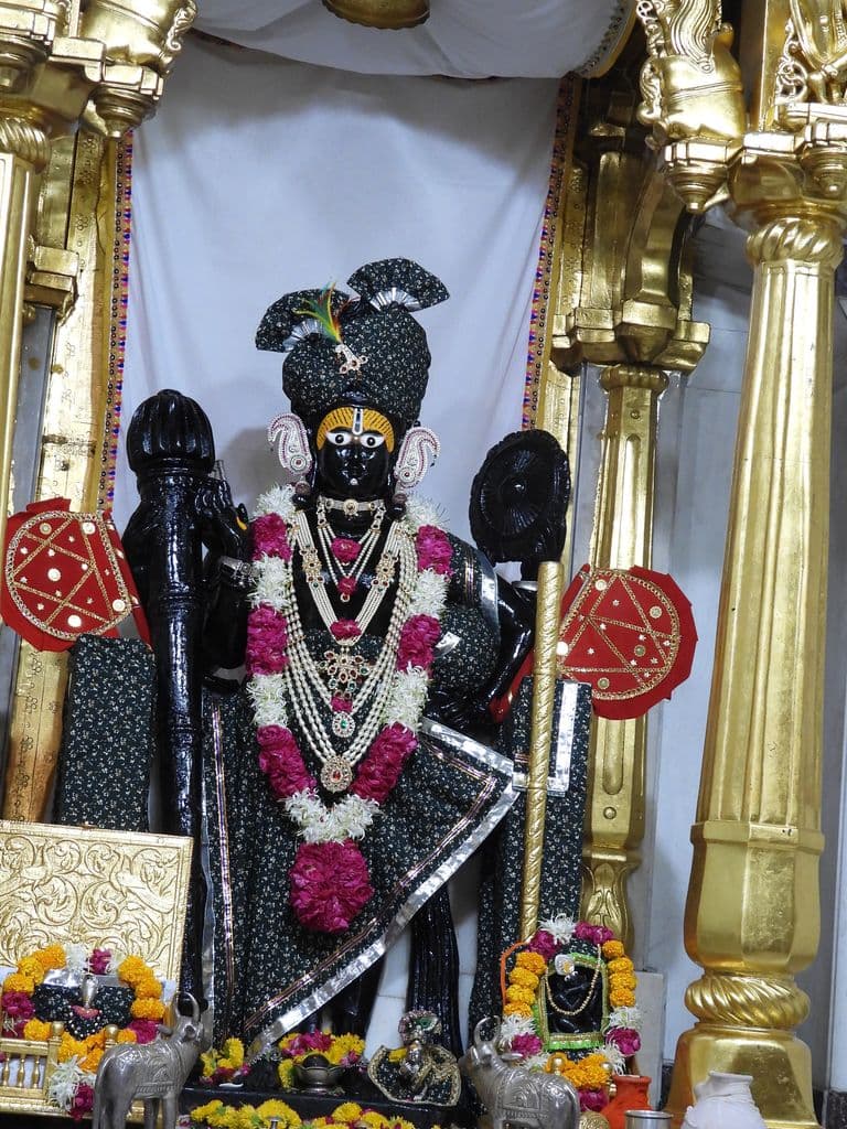 shamalaji_vishnu_mandir_9.jpg