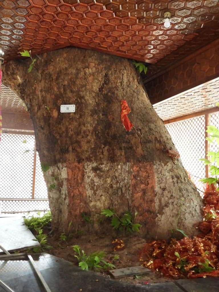 srinagar_kheer_bhawani_mandir_11.jpg