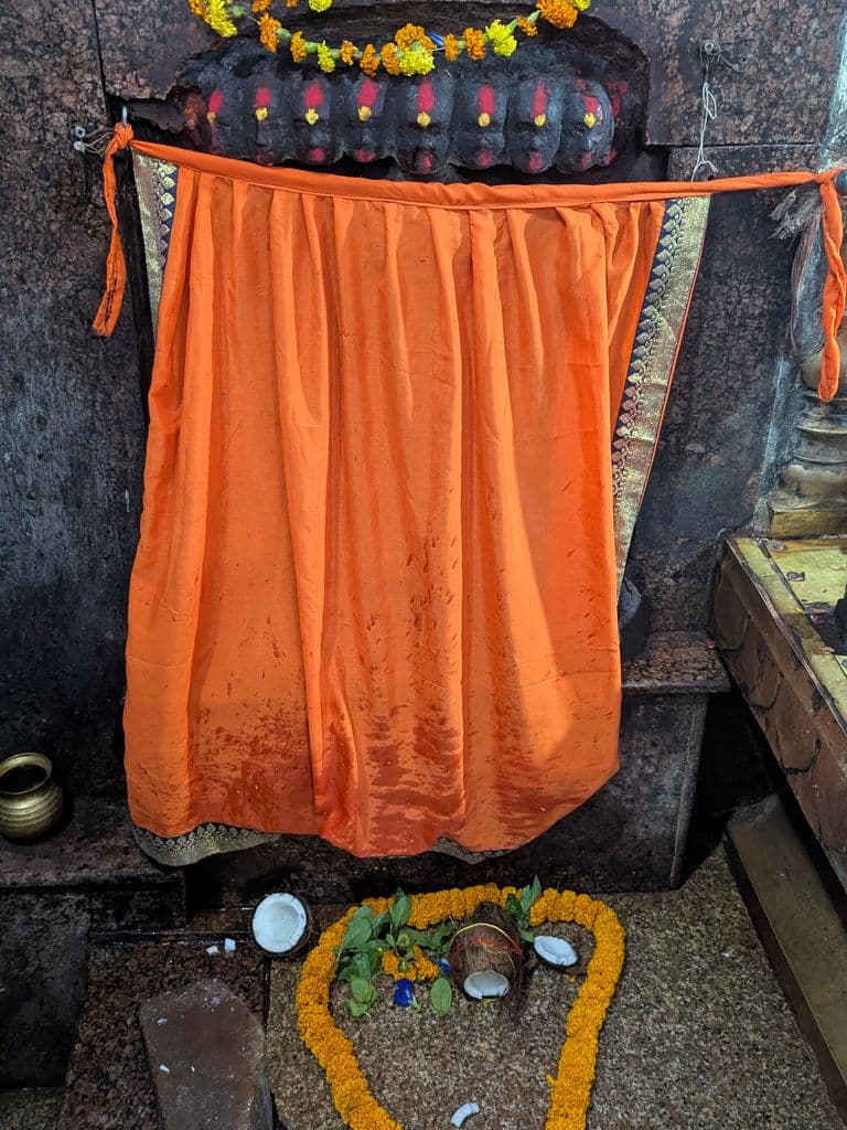 varanasi_bhimchandi_devi_mandir_11.jpg