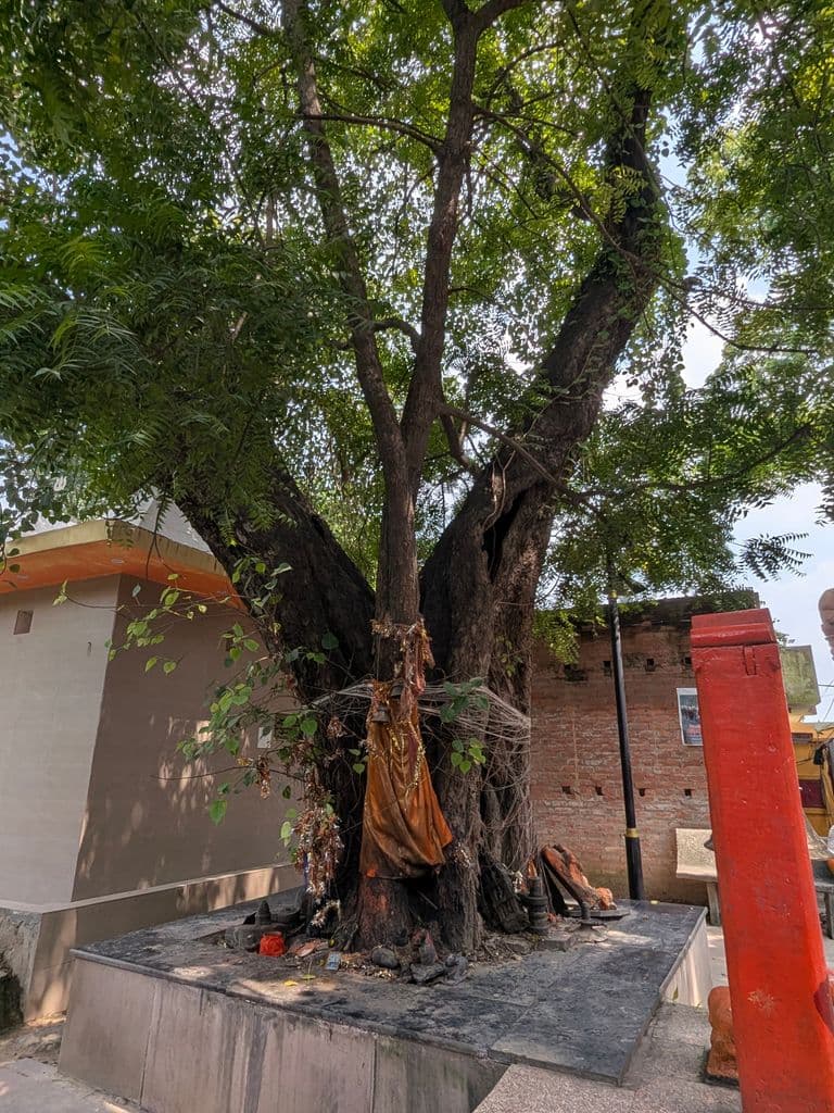 varanasi_bhimchandi_devi_mandir_7.jpg