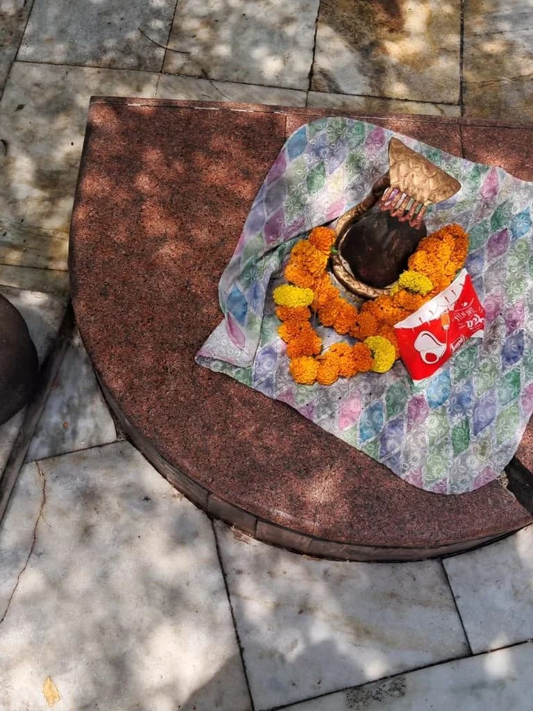 ambala_ambika_devi_13.jpg