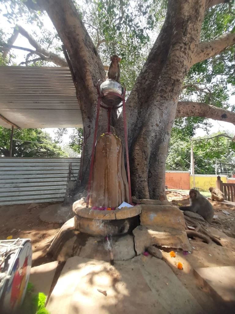 bahu_fort_kali_mandir_12.jpg