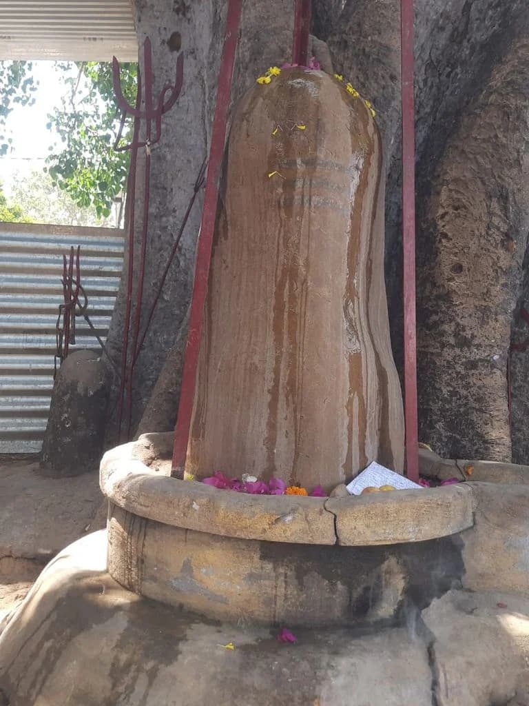 bahu_fort_kali_mandir_2.jpg