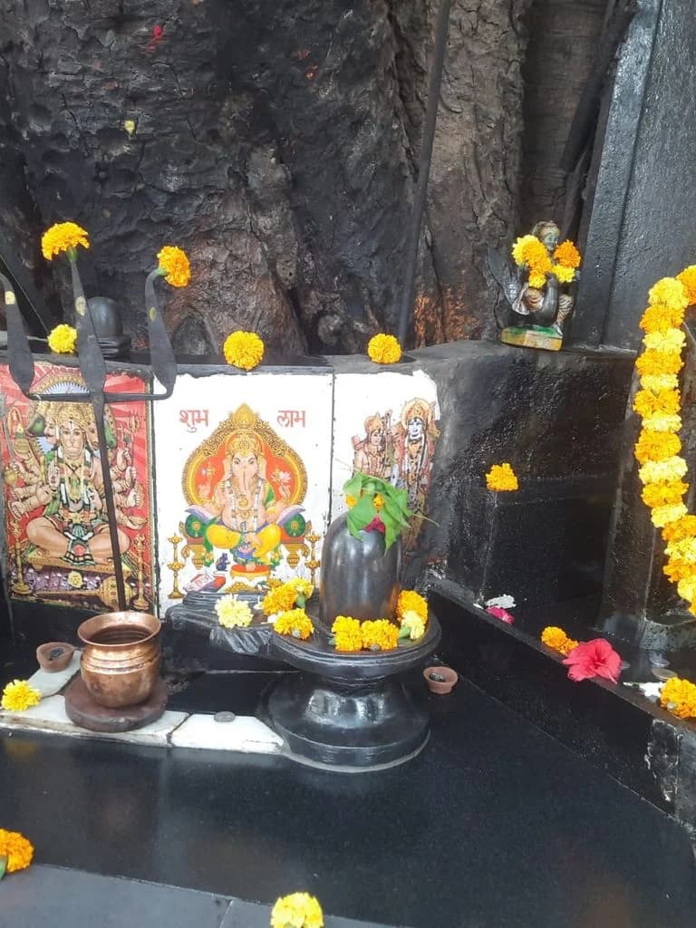 bahu_fort_kali_mandir_3.jpg