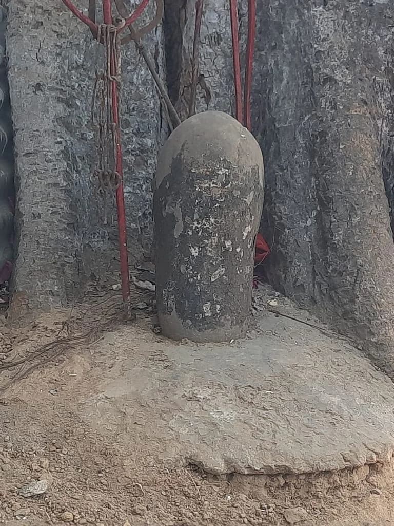bahu_fort_kali_mandir_5.jpg