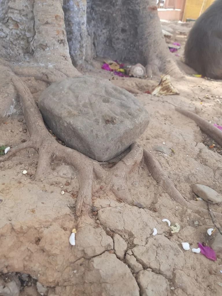 bahu_fort_kali_mandir_6.jpg