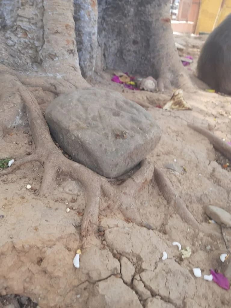 bahu_fort_kali_mandir_9.jpg