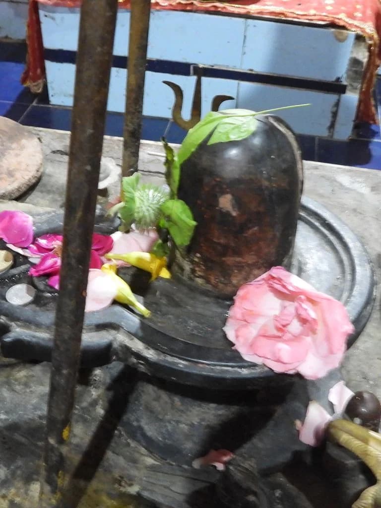 bandarkoot_mandir_6.jpg