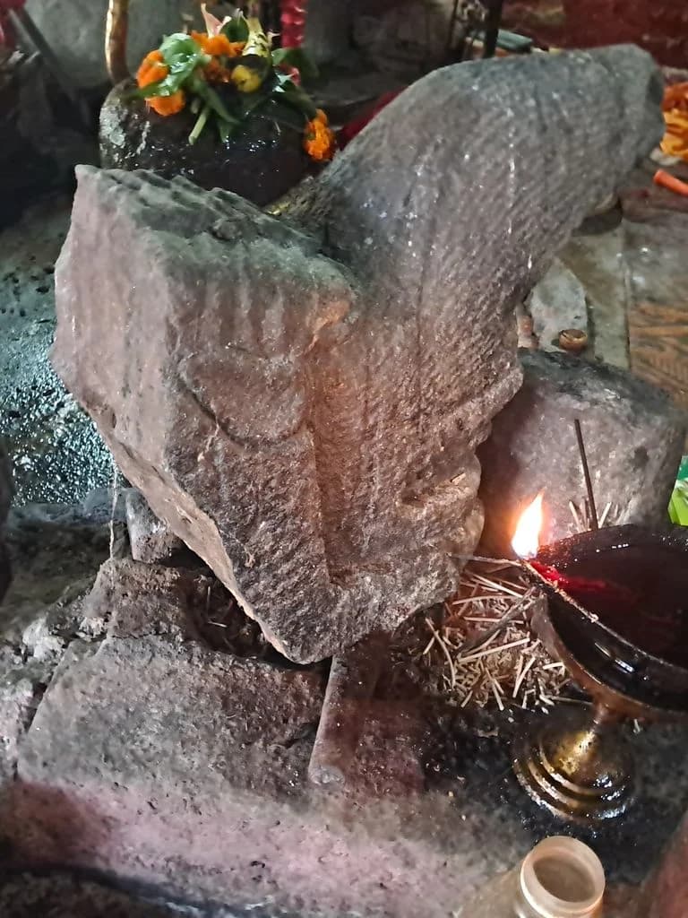 bhatiapara_surya_pahar_17.jpg