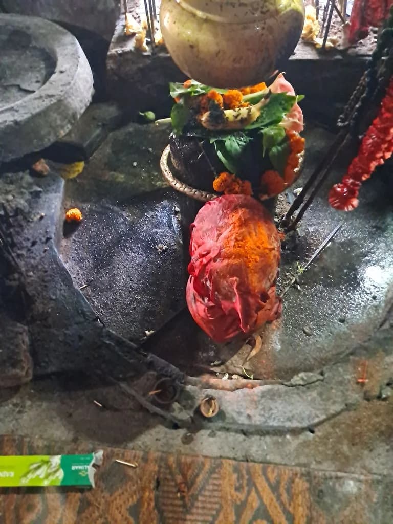 bhatiapara_surya_pahar_19.jpg