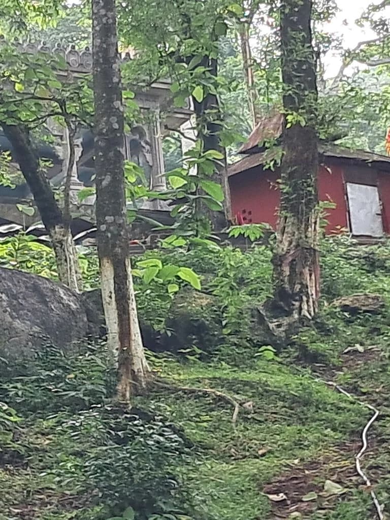 bhatiapara_surya_pahar_22.jpg