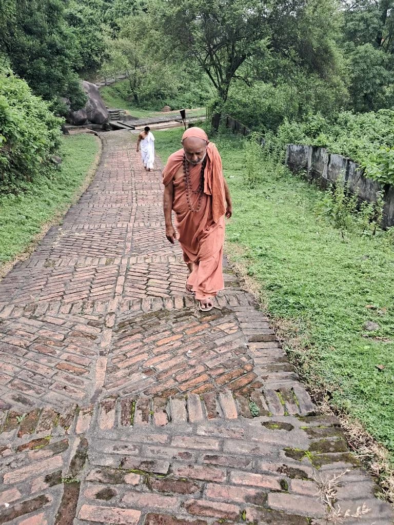bhatiapara_surya_pahar_38.jpg