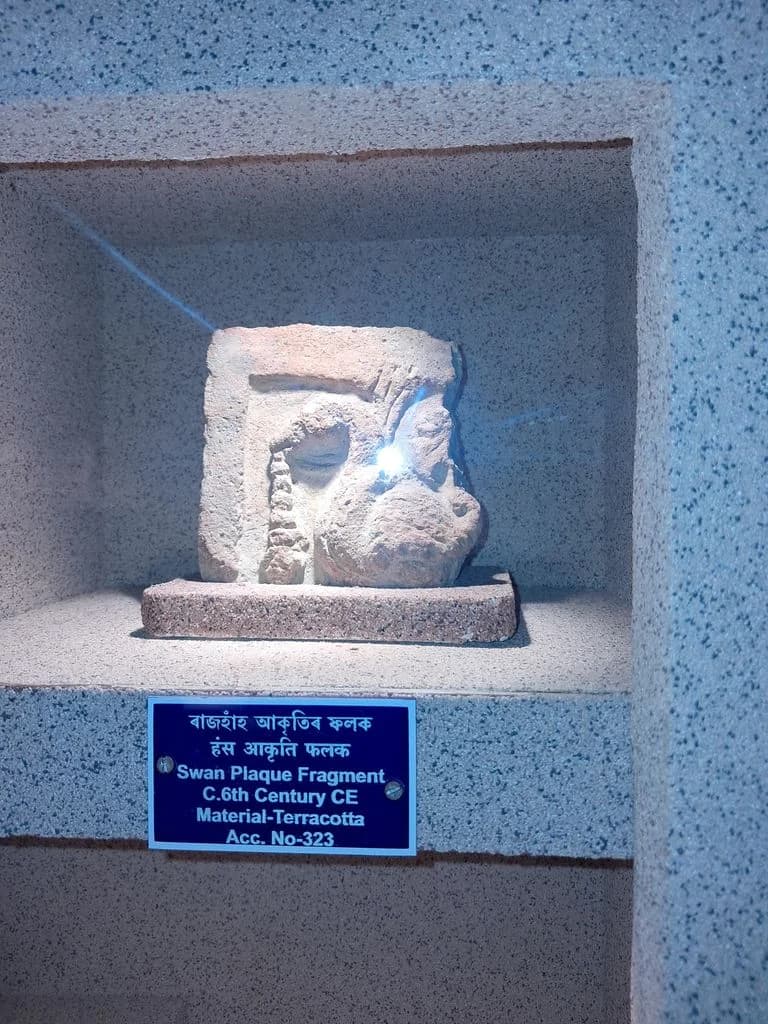 bhatiapara_surya_pahar_58.jpg
