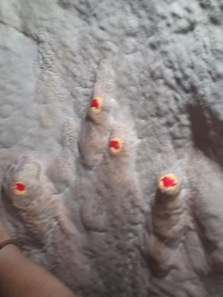 chote_amarnath_2.jpg